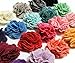 Amelia Blossom Flowers - Grab Bag - 10 flowers