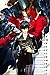 CGC Huge Poster Glossy Finish - Persona 5 PS4 PS3 PS2 - EXT568 (24