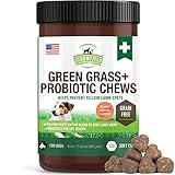 Green Grass Saver for Dogs - 120 Grain-Free Treats - Dog Urine Neutralizer Supplement, Burn Spots, Dog Pee Lawn Repair - Chewable Probiotics, Digestive Enzymes, DL Methionine, Apple Cider Vinegar, USA