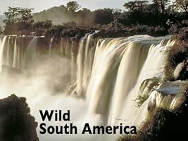 Amazon.com: Yellowstone: Andrew Murray: Amazon Digital