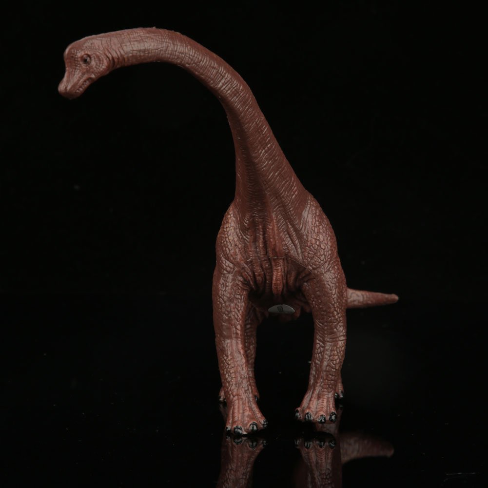 Juguetes y juegos Fdit Modelo de Juguete Figuras de Dinosaurio Pterosaurio  Juguetes de Simulación de Dinosaurio PVC Modelo Animal para Niños Regalo  Ideal Dinosaurios y criaturas prehistóricas dawngribble.com