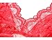 Garmol Women Lingerie Lace Bodysuit Deep V Neck Dobby Mesh Body Suits Teddy (Red, Large)