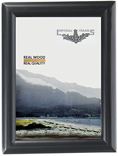 Imperial Frames 13 by 19-Inch/19 by 13-Inch Picture/Photo Frame, Black Molding