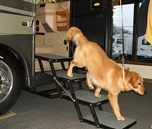 Best lifted car seat for small dogs