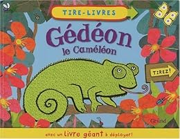 Gédéon le caméléon