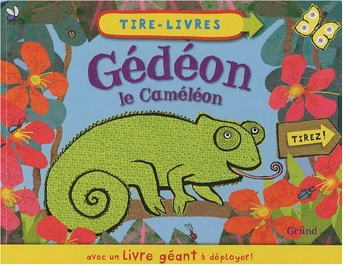 Gédéon le caméléon