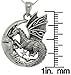 Jewelry Trends Sterling Silver Moon and Dragon Celtic Knot Pendant Necklace 18