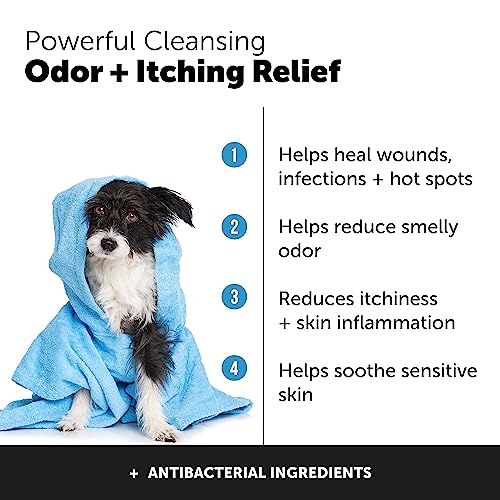 Pet Honesty Chlorhexidine Dog Shampoo for Allergies and Itching for