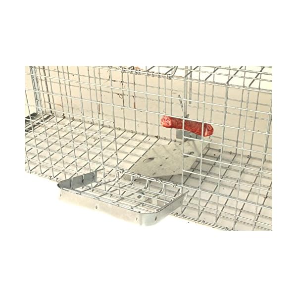 Holtaz Hardy Super Starke Falle Marderfalle Katzenfalle Fuchsfalle Biberfalle Tierfalle Kastenfalle Drahtfalle WaschbÃ¤rfalle 2 TÃ¼ren, GrÃ¶Ãe: 180x34x34 cm Mit Extra KÃ¶der – Bild 7