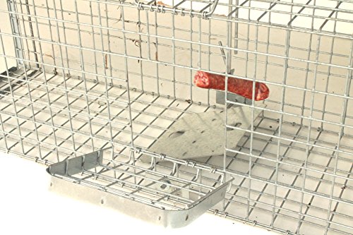 Holtaz Hardy Super Starke Falle Marderfalle Katzenfalle Fuchsfalle Biberfalle Tierfalle Kastenfalle Drahtfalle Waschbärfalle 2 Türen, GröÃe: 180x34x34 cm Mit Extra Köder – Bild 7