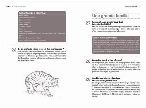 Les Chats En 300 Questions Reponses French Edition Bulard Cordeau Brigitte Labarre Amandine Amazon Com Books