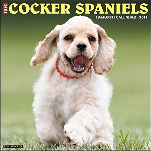 Just Cocker Spaniels 2017 Wall Calendar (Dog Breed Calendars)