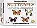 Skullduggery Eyewitness Kit Butterfly Casting Kit