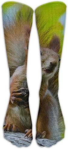 Unisex Greedy Squirrel Fashion Calf Tube Stocking Athletic Sock Long Sock One Size
