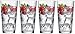 Circleware Theory Drinking Glasses, Set of 4, 17 oz, Clear, 4 pc Theory1