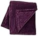 Chanasya Super Soft Warm Elegant Cozy and Decorative Velvet Fleece Aubergine Microfiber Throw Blanket (50