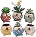 ROSE CREATE 6 Pcs 3 Inches Owl Pots, Little Ceramic Succulent Owl Planters with Drainage Holes - (Big Smile Owls)