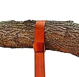 Planet Earth Play Equipment 5' Easy-Hang Swing Strap - Single Strap Plus Carabiner the Fastest and Easiest Way to Hang any Swing