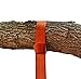 Planet Earth Play Equipment 5' Easy-Hang Swing Strap - Single Strap Plus Carabiner the Fastest and Easiest Way to Hang any Swing
