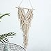 Ricdecor Dream Catcher Wall Hanging Car Hanging Decoration Ornament (White)