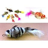 Frenzy Kakapo refill - Fits Da Bird, Cat Catcher and Flying Frenzy