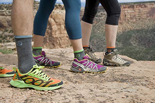 image for CloudLine Merino Wool 1/4 Top Running & Athletic Socks - Light Cushion
