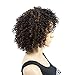 Befunny Curly Wigs for Black Women Short Jerry Kinky Curly Human Hair Wigs For Women Soft Fluffy None Lace Highlight Brown/Black Wigs (P1B/30#)
