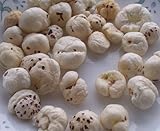 Phool Mahkana / Puffed Lotus Seed - 7oz