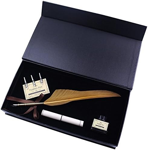 Calligraphy Set With Real Feather Stainless Steel Nib And Writing Paper (shallow curry)