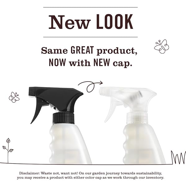 MRS. MEYER’S CLEAN DAY EUCALYPTUS MULTI-SURFACE EVERYDAY CLEANER