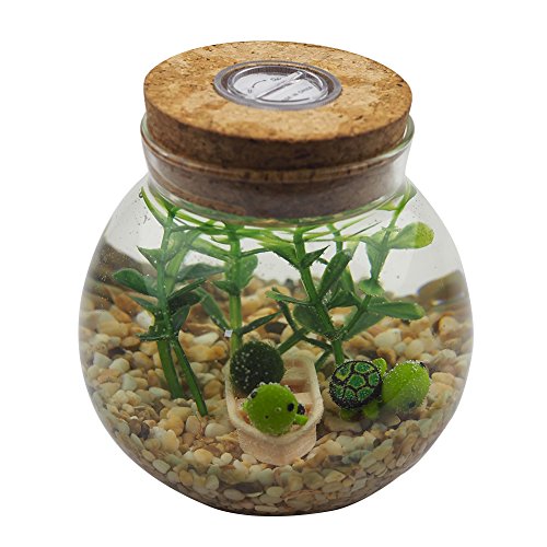 Omem multi color aquarium set - lifestyle moss balls, algae, grav…
