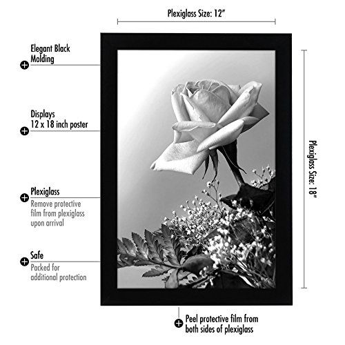 3 Americanflat+12x18+Poster+Frame+Black