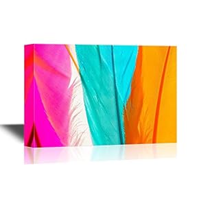 Canvas Wall Art - Three Feathers - Gallery Wrap Modern Home Art | Ready to Hang - 12x18 inches