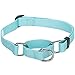 Blueberry Pet Essentials Martingale Safety Training Dog Collar, Mint Blue, Medium, Heavy Duty Nylon Adjustable Collars for Dogs