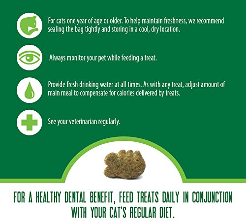 6 Feline+Greenies+Dental+Treats+Holiday