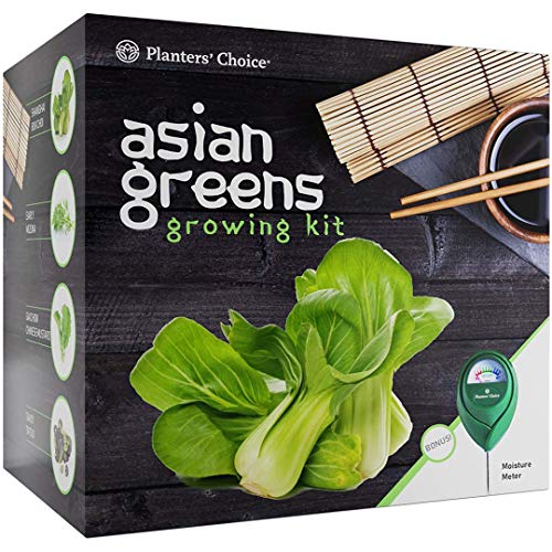 Planters' Choice Asian Greens Growing Kit Everything Included to