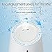 Innoo Tech IN10-C001 Ultrasonic Cool Table Lamp Humidifiers | Automatic Shut-Off | Night Light Function | 360 Degree Rotatable Mist Outlets | 2.0L, White