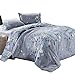 Vaulia Lightweight Microfiber Duvet Cover Sets, Floral Print Pattern Design, Grey Color - Queen Size