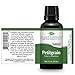 Plant Therapy Petitgrain Essential Oil 30 mL (1 oz) 100% Pure, Undiluted, Therapeutic Grade
