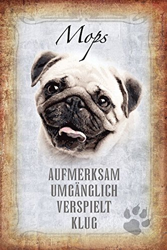 Deko 7 Tin Sign 30 x 20 cm Dog Pug
