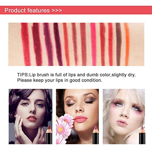 Italia Deluxe Ultra Fine Lip Liner set (Pack Of 12) Pricepulse