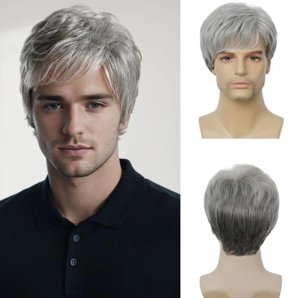 Salaibs Grey Short Wigs for Men Synthetic Layered Natural realistic Male Hair wig for Daily Party (Grey)