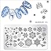 AIFAIFA Nail Stamping Plates Set, Nail Art Design Kits, 2 Nail Stamping Plates, 1 Stamper, 1 Scraper, DIY Manicure Tools (2 Christmas Plate + Stamper)