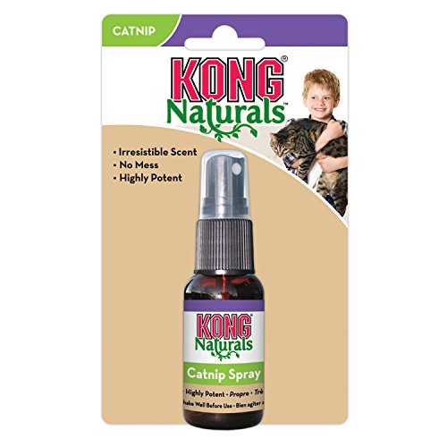 KONG Naturals Catnip Spray for Cats, 1-Fluid Ounces