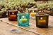 Bluecorn Beeswax Heavy Glass Votive and Tea Light Candle Holders (1, Clear)