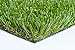 New 15' Foot Roll Artificial Grass Turf Synthetic Fescue Pet Sale! Many Sizes! (2 Turf Samples 12'' x 12'')
