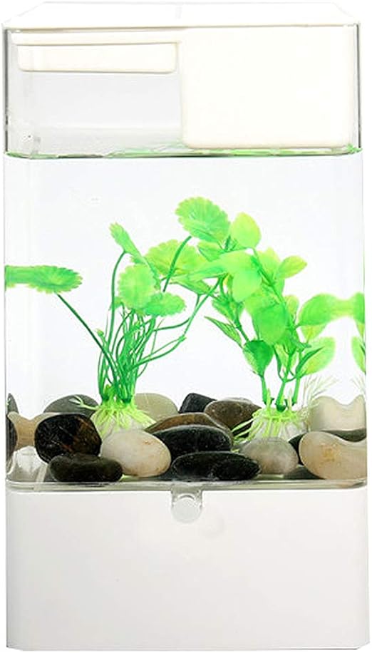 small home aquarium