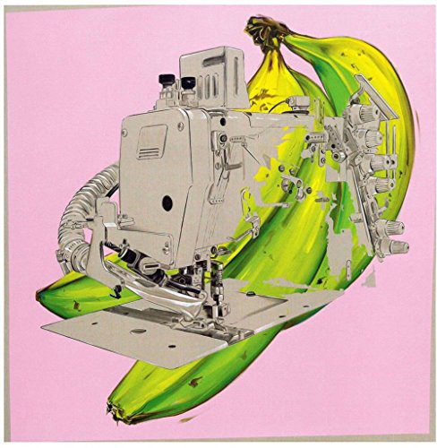 Télécharger The Secretary Blouse : Avec 1 disque vinyle 33 tours PDF