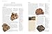 The Illustrated Guide to Rocks & Minerals: How to find, identify and collect the world's most fascinating specimens, featuring over 800 stunning photographs and artworks