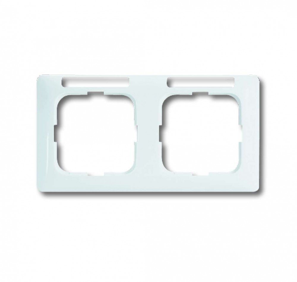 Busch-Jaeger 1732NSKA-214 Double Linear Frame with Viewing Window Horizontal